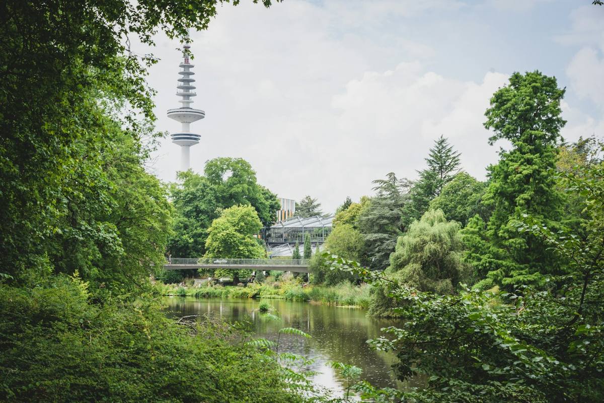 Green park with a pond, trees and the Hamburg TV tower behind