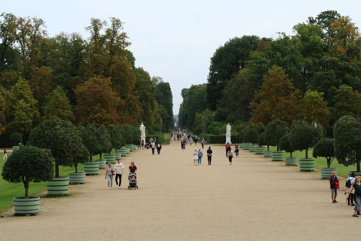 Wide gravel avenue with trimmed trees in tubs and walkers