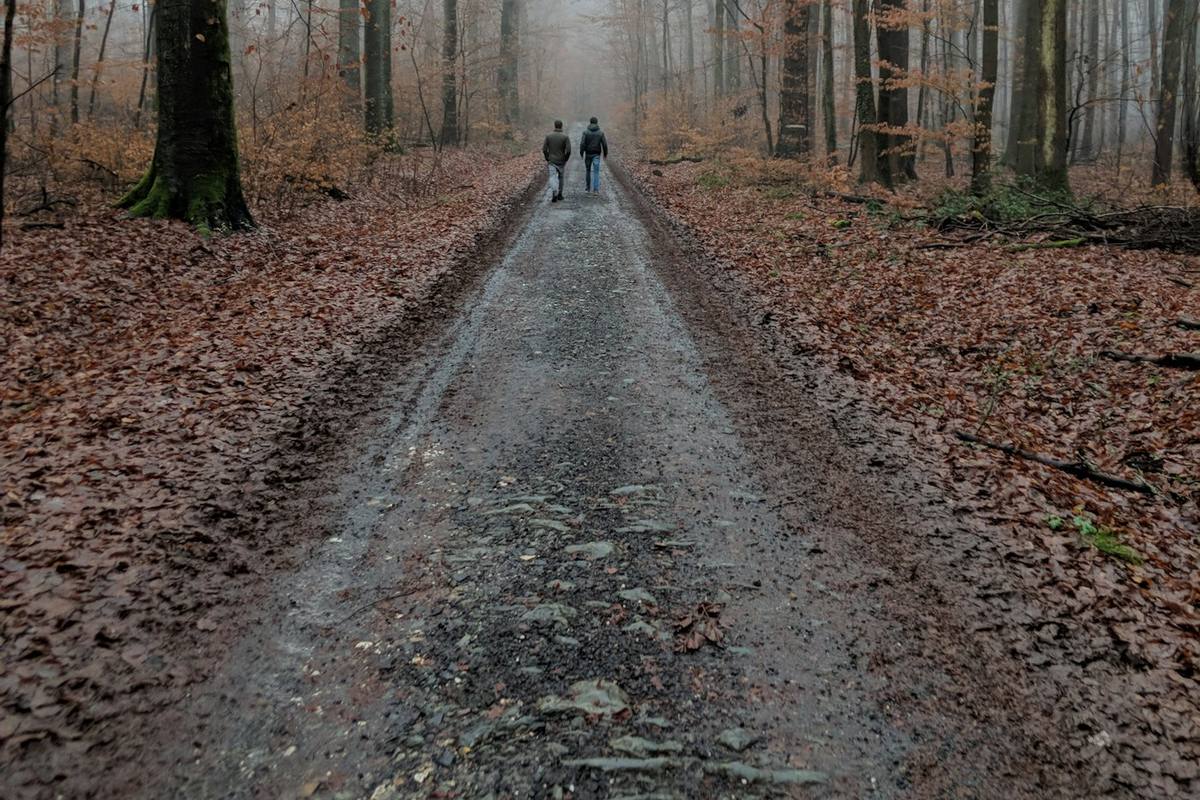 Two people walking on a wet path between bare autumn trees